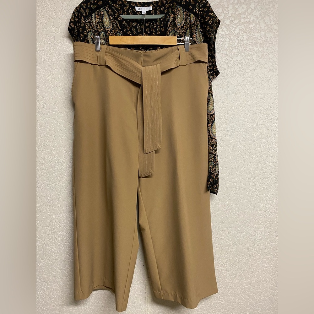 Joie Women's Tan Baggy Wide Leg Pants with Belt